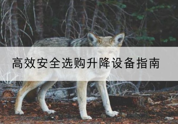 定日升降货梯厂家推荐-*安全选购升降设备指南