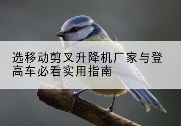 定日电动升降机厂家-选移动剪叉升降机厂家与登高车必看实用指南
