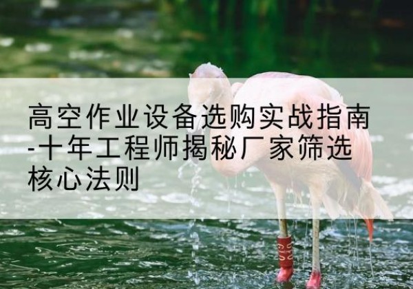 定日剪叉式升降机厂家-高空作业设备选购实战指南-十年工程师揭秘厂家筛选核心法则